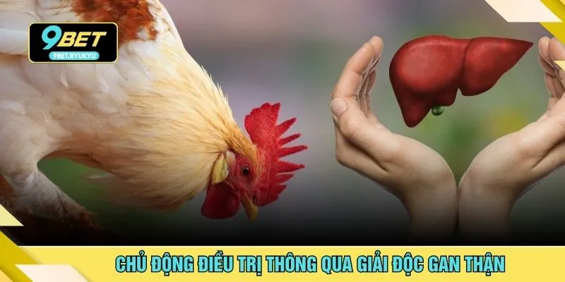 Chủ động điều trị thông qua giải độc gan thận
