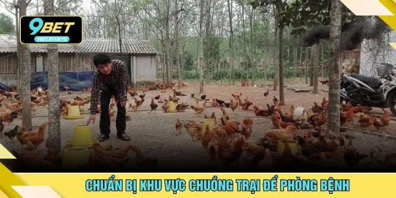 Chuẩn bị khu vực chuồng trại để phòng bệnh