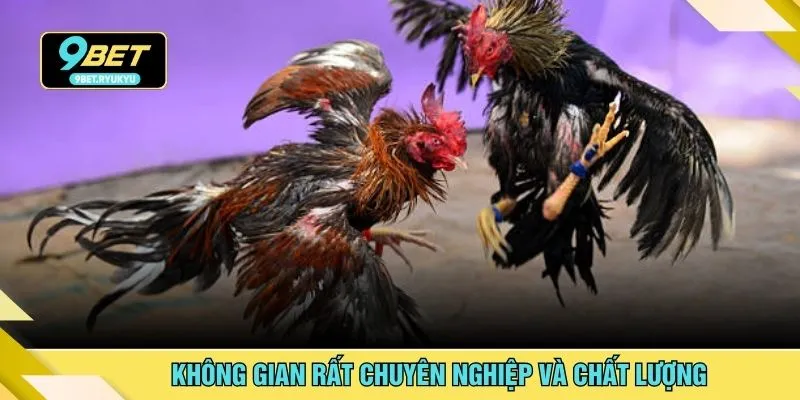 Không gian rất chuyên nghiệp và chất lượng