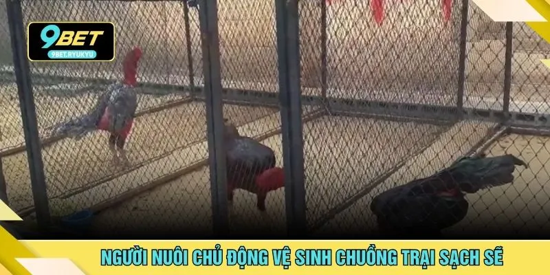 Người nuôi chủ động vệ sinh chuồng trại sạch sẽ