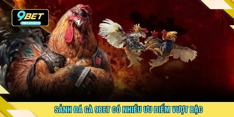 Sảnh đá gà 9bet có nhiều ưu điểm vượt bậc