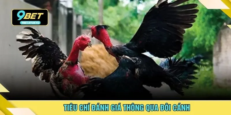 Tiêu chí đánh giá thông qua đôi cánh